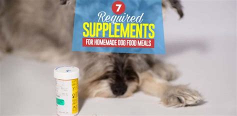 They also need calcium (from dairy or an ingredient such as egg. 7 Essential Homemade Dog Food Supplements - Top Dog Tips