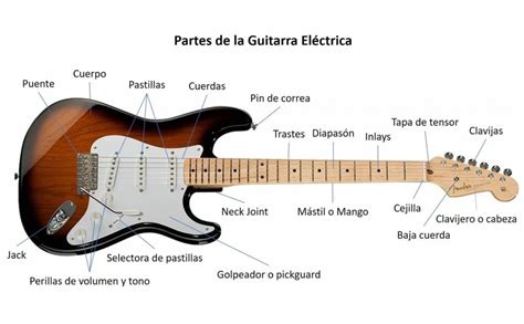 Partes De La Guitarra Eléctrica E Importancia De Cada Una Guias