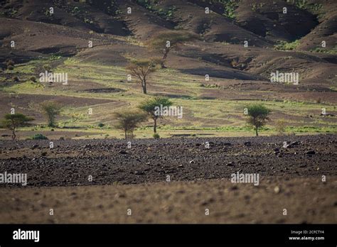 Amazing Desert Landscape With Dry Vegetation Sand Rocky Hills In Semi