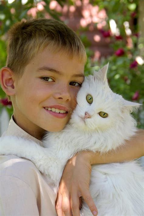 Boy With A Cat Stock Photo Image Of Caucasian Kitten 12050752