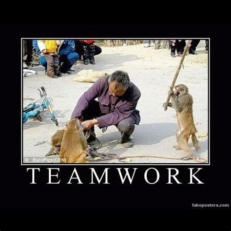 And the only way to do that is to overcome our need. Teamwork | Humor | Pinterest | Teamwork