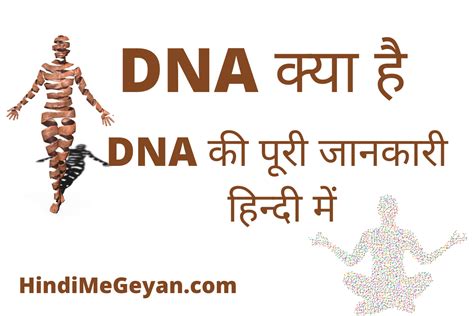 DNA Full Form In Hindi डएनए कय हत ह पर जनकर हनद म Hindi Me Geyan