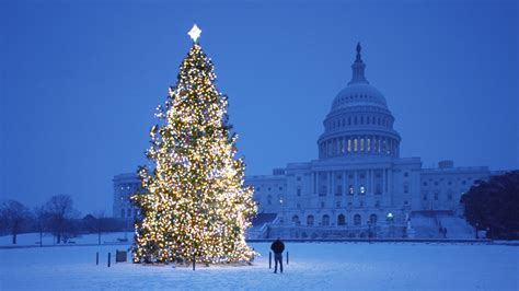 New Year Tree Outside The White House Wallpapers And