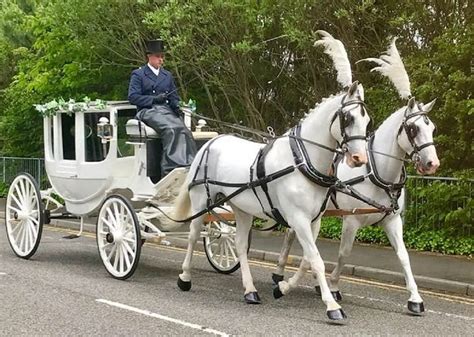 Our Range Of Horse Drawn Carriages The Ostler