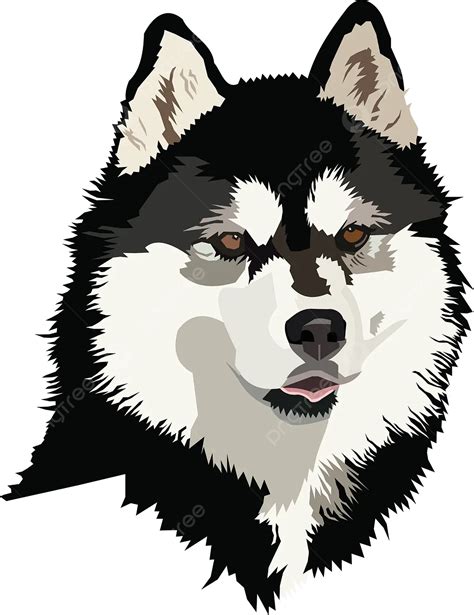 Vector Illustration Siberian Husky Dog Siberian Husky Dog Vector Png