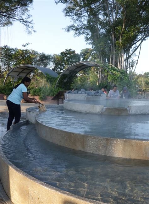 Sembawang hot spring park reopens with cascading pool, cafe and floral walk however, nparks said that some members of the public have been found to be pouring unwanted hot spring water that they. Sembawang hot spring, Singapore in 2020 | Singapore ...