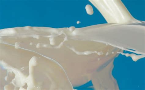 Determination Of Lactose In Lactose Free Milk Products By High