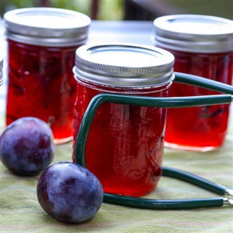 Fresh Plums Are Perfect For Jam Making And This Easy Recipe Gives Plum