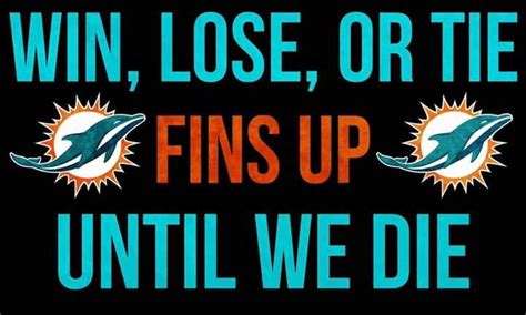 Miami Dolphins Miami Dolphins Funny Dolphins Miami Dolphins Logo