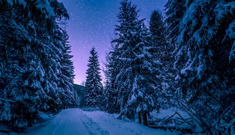 Fond Décran Hiver Forêt Route Neige Ciel étoilé 4608x2660