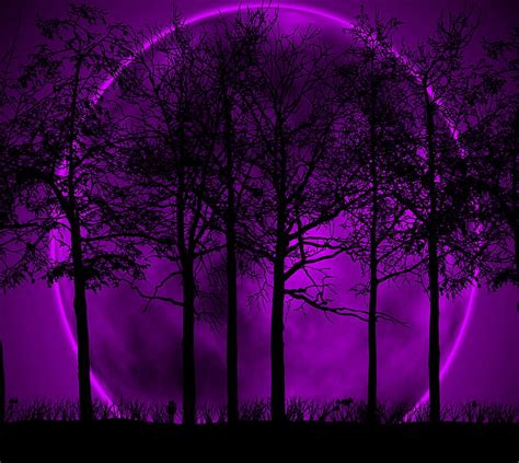 Purple Moon Moon Purple Hd Wallpaper Peakpx