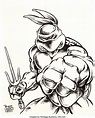 Peter Laird - Raphael of the Teenage Mutant Ninja Turtles | Lot #92144 ...