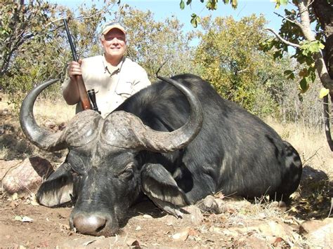 Cape Buffalo And Roan Hunt In South Africa For One Hunter With Game