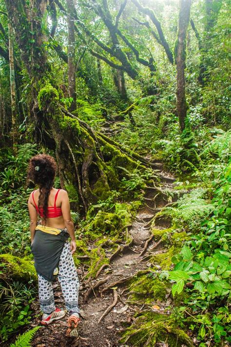 Baekho of nu'est adjusts in the jungle well with his great physique. The Ultimate Guide To Visiting The Cameron Highlands ...