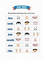Body Parts - My Face worksheet | Live Worksheets