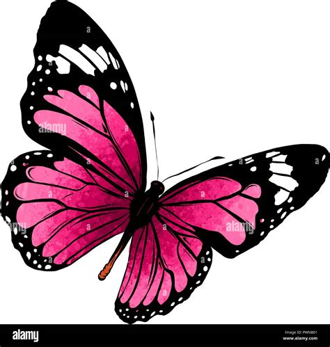 Illustration Of A Beautiful Colorful Butterfly That Flies Stock Vector