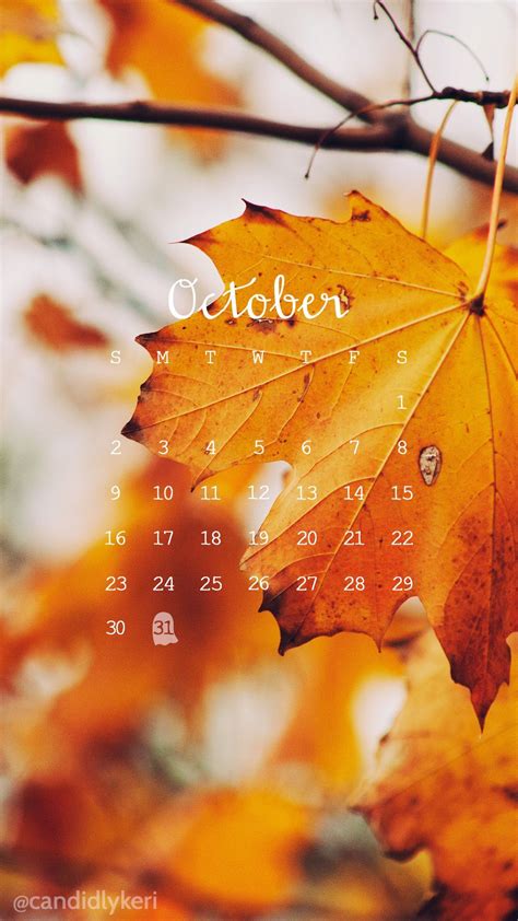 October Leaves Hd Wallpapers Wallpaper Cave