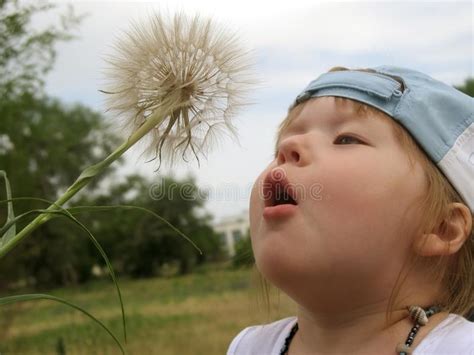 Little Girl Blowing Dandelion Seeds Picture Image 7927327