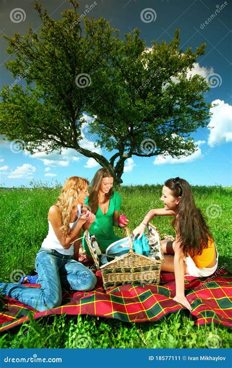 Girlfriends On Picnic Stock Image Image Of Female White 18577111
