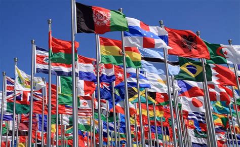 More Than 300 Civil Society Organizations From 73 Countries Urge Real