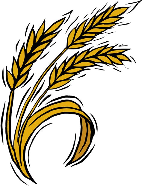 Drawing Wheat Plant Clipart Best