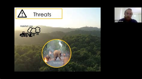 The Disappearing Asian Elephant Using Movement Ecology To Inform Conservation YouTube