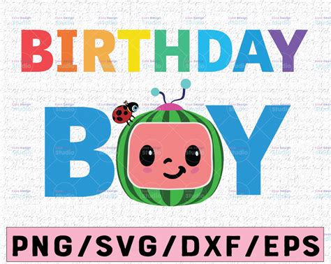 Cocomelon Birthday Boy SVG, Coco Melon SVG, Cocomelon Bundle SVG