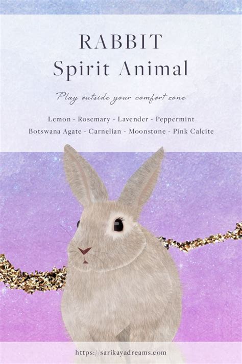 Rabbit Spirit Animal Spirit Animal Spirit Animal Totem Animal Totems