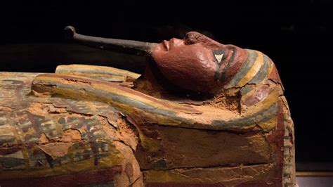 Mummies Opens At The Natural History Museum With A Late Night On Friday