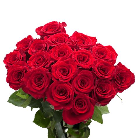 Beautiful Red Roses Globalrose