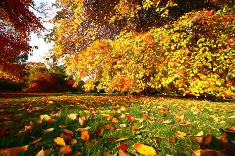 Some popular kinds of inorganic mulch are man made and synthetic. Best Mulch Types - Choosing The Right Mulch For A Garden