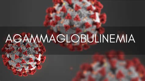 Agammaglobulinemia Y Covid 19 Coronavirus Hichampage