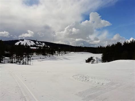 Alamaasto Illuminated Ski Trail 3 Km Vuokatti Finland Cross Country