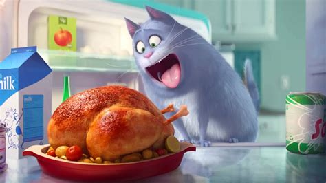 Connect with us on twitter. The Secret Life of Pets - Official Teaser Trailer - YouTube