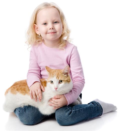 How To Introduce A Cat To Children