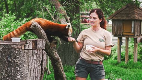 Comment Devenir Soigneur Animalier Dans Un Zoo