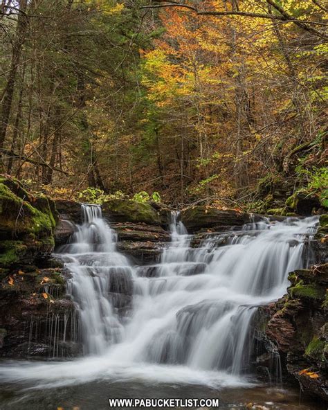 Where To Find The Best Fall Foliage Views In The Pa Grand Canyon