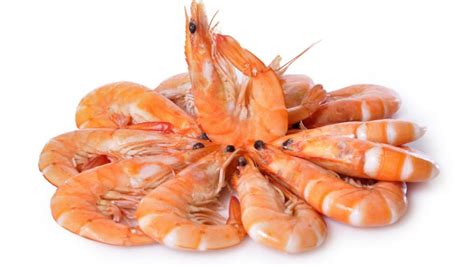 Langostino El Secreto Mejor Guardado Del Mar Argentino Cucinare