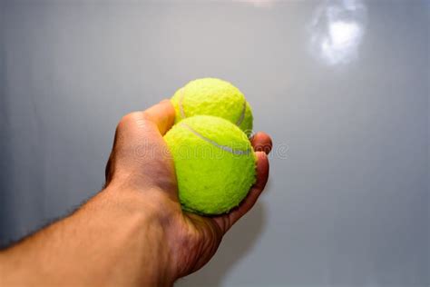 Male Hand Holding Two Tennis Balls Stock Photos Free And Royalty Free