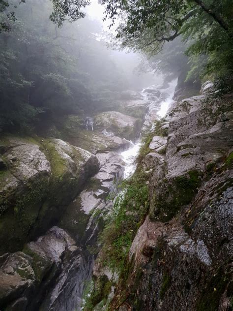 Explore Subtropical Yakushima Island In Three Days