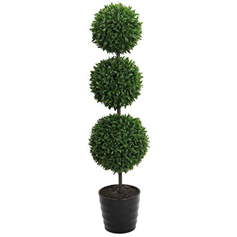 Admired By Nature Tabletop English Artificial Boxwood Twin Pack 2