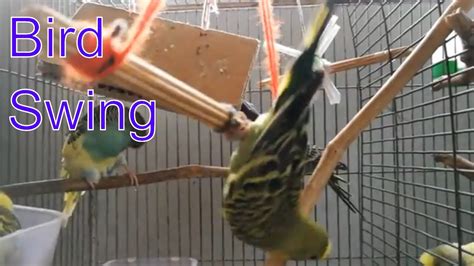 How To Make Bird Toys Diy Bird Swing Tutorial For Budgies Youtube