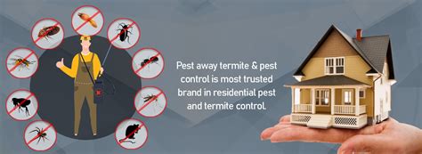 Best Pest Control In Sydney Pest Control Sydney Same Day Service