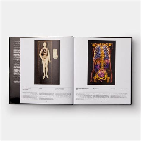 Anatomy Exploring The Human Body For Sale At 1stdibs