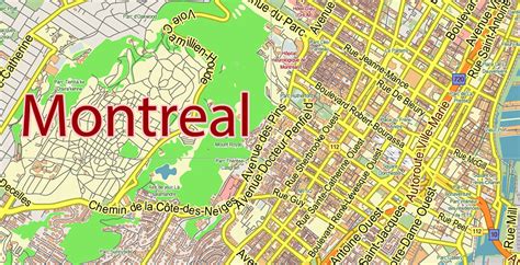 Montreal Quebec Canada Pdf Vector Map City Plan Low Detailed For