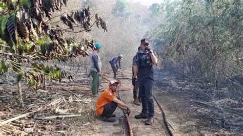 BPBD Catat Luas Lahan Terbakar Di Blok Geger Halang Kawasan Gunung