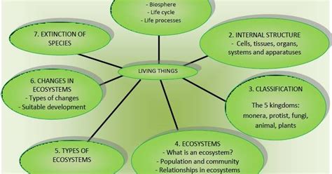 Natural Science 5th Grade Unit 1 The Organisation Of Living Things