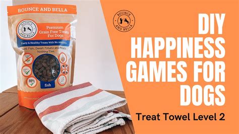 Diy Brain Game For Dogs The Treat Towel Game Part Two Youtube