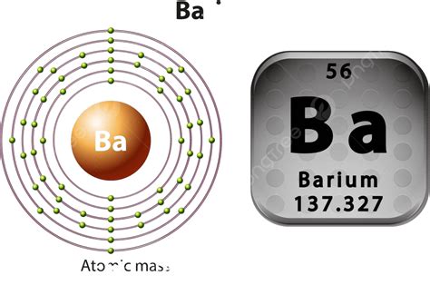 Symbol And Electron Diagram For Barium Periodic Atom Neutron Vector
