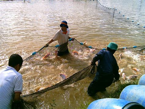 Ci Indumar Ltda Redes Para La Pesca